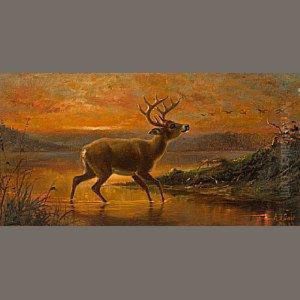 Ten Point Buck At Evening Twilight by Arthur Fitzwilliam Tait
