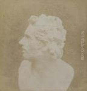 Bust Of Patroclus "the Pencil Of Nature"