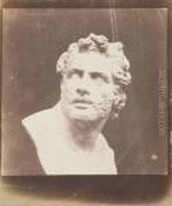 Bust Of Patroclus