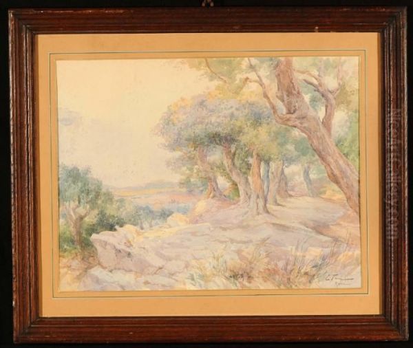 Paesaggio - view 1