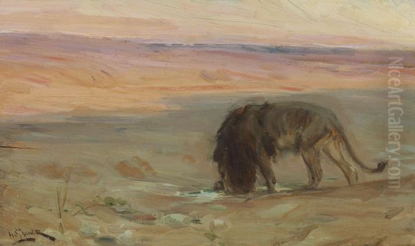 Lion Drinking - view 1