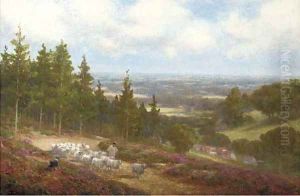 A shepherd with his flock at Shere, near Dorking by Alexander Young