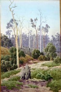 The Bush Clearing