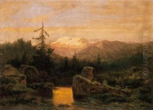 Waterside Landscape With Pine Forest