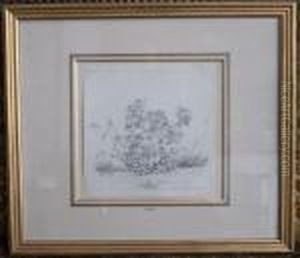 Etude De Plantes by Claude I Thienon