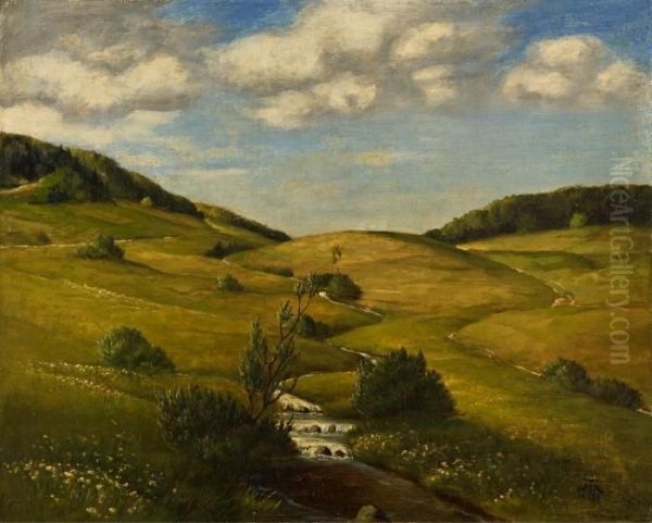 Landschaft Im Schwarzwald - view 1