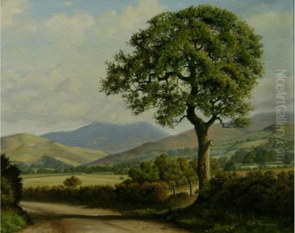 Skiddaw From Strawberry How - view 1