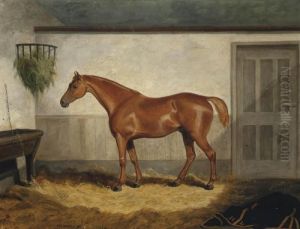 Leeds, A Chestnut Hunter In A Loose Box by Jacob Thompson