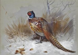 A Pheasant In A Landscape
