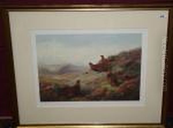 Red Grouse - view 1