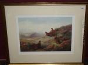 Red Grouse
