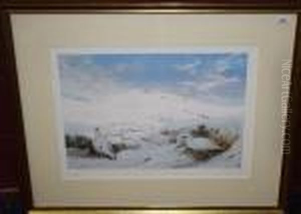 Winter Ptarmigan - view 1