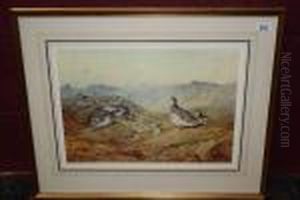 Ptarmigan