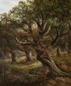 A Woodland Landscape A Woodland Landscape