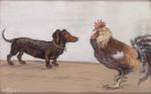 Dackel Und Hahn
