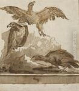 Three Eagles On A Rock