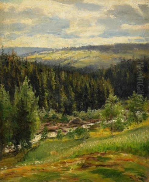 Landskapsvy - Motiv Fran Bispgarden - view 1