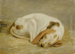 Pair Of Works: Deux Etudes D'un Chiot Dormant En Boule by Wolfgang-Adam Toepffer