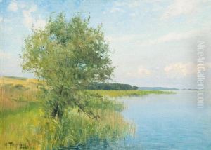 Summer Landscape