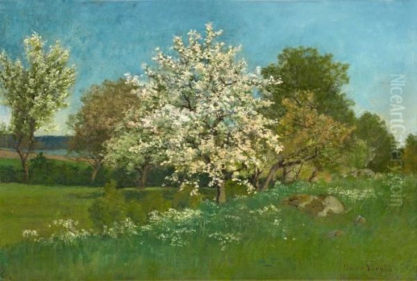 Blossoming Fruit Tree - view 1