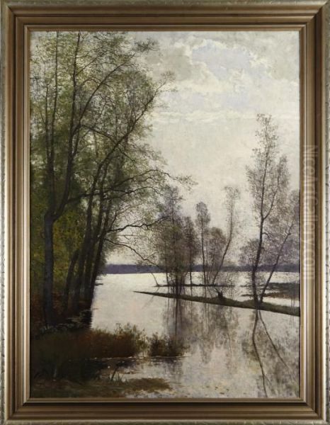 Insjolandskap - view 1