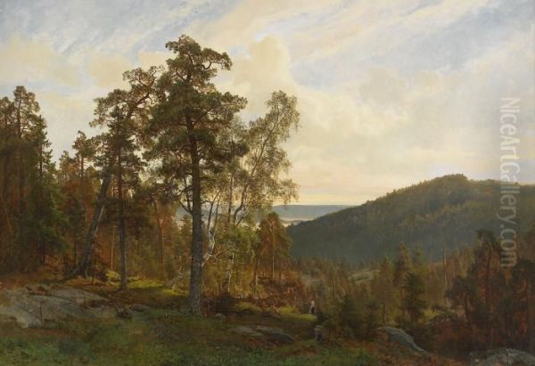 Lanskapsvy Med Flicka I Skogsbacke - Sommar - view 1