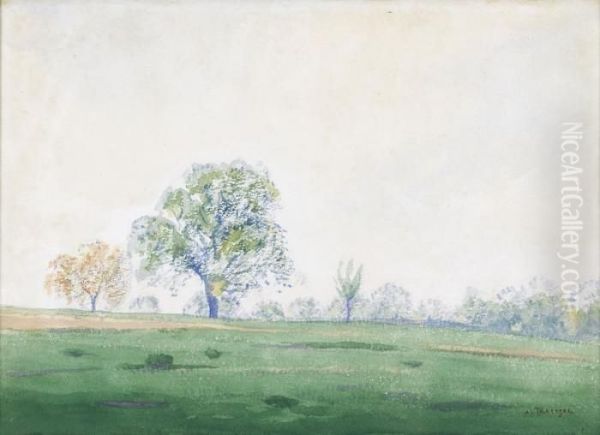 Sommerliche Wiesenlandschaft - view 1