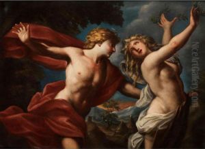 Apollo Und Daphne by Francesco Trevisani