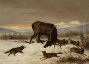 Pack Of Wolves Attacking An Elk by Newbold Hough Trotter