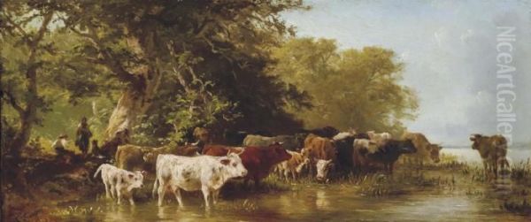 Troupeau De Vaches S'abreuvant - view 1