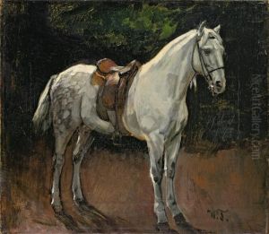 Gesattelter Schimmel