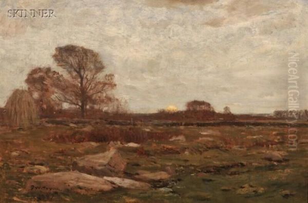 Landscape At Dusk - view 1
