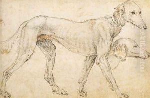 Studies of a Greyhound 1563-64