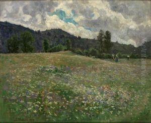 Bluhende Sommerwiese, Im Hintergrund Bauern Bei Der Mahd