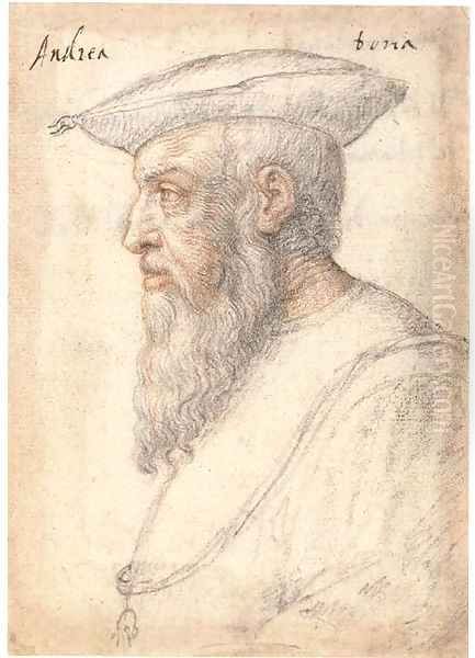 Portrait of Andrea Doria in profile to the left, wearing the order of the Golden Fleece - view 1