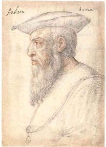 Portrait of Andrea Doria in profile to the left, wearing the order of the Golden Fleece
