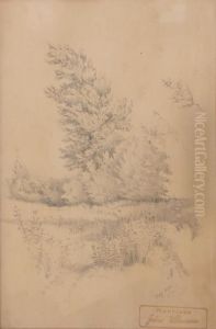 Landschaftsstudie