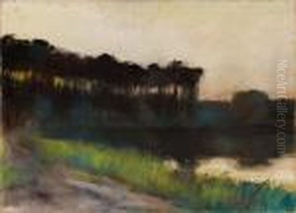 Markischer Waldsee - view 1