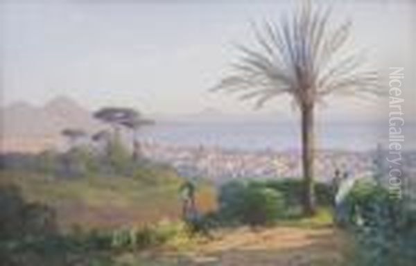 Napoli Dai Camaldoli - view 1