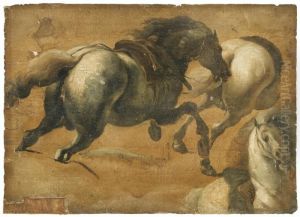 Etude De Chevaux Etude De Chevaux