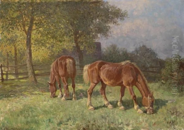 Horses In The Paddock - view 1