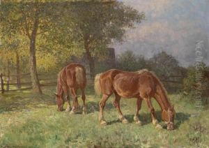 Horses In The Paddock