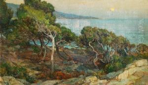 Evening Coastline by Harry van der Weyden