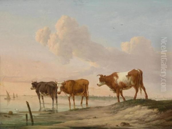 Cows By The Water - view 1