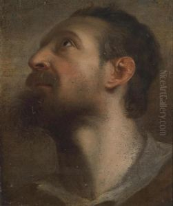 A Man Looking Upwards by Sir Anthony Van Dyck
