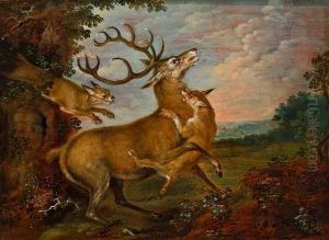 Hirsch Von Luchsen Angefallen by Jan van Kessel