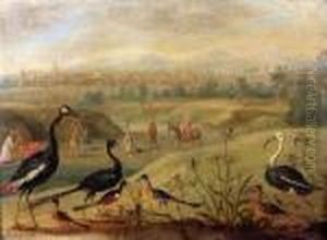 Oiseaux Dans Un Paysage