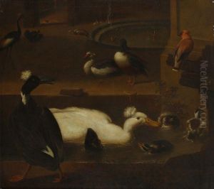 Canards Dans Une Fontaine by Adriaen van Oolen