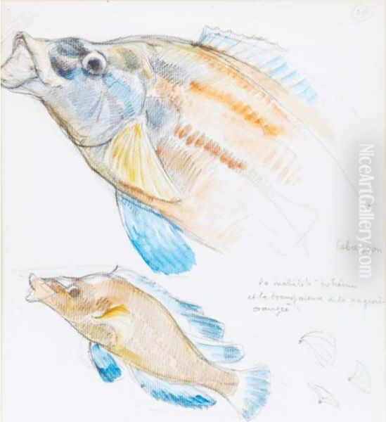 Two Fish - view 1