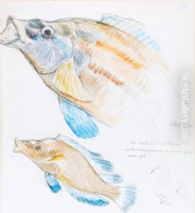 Two Fish